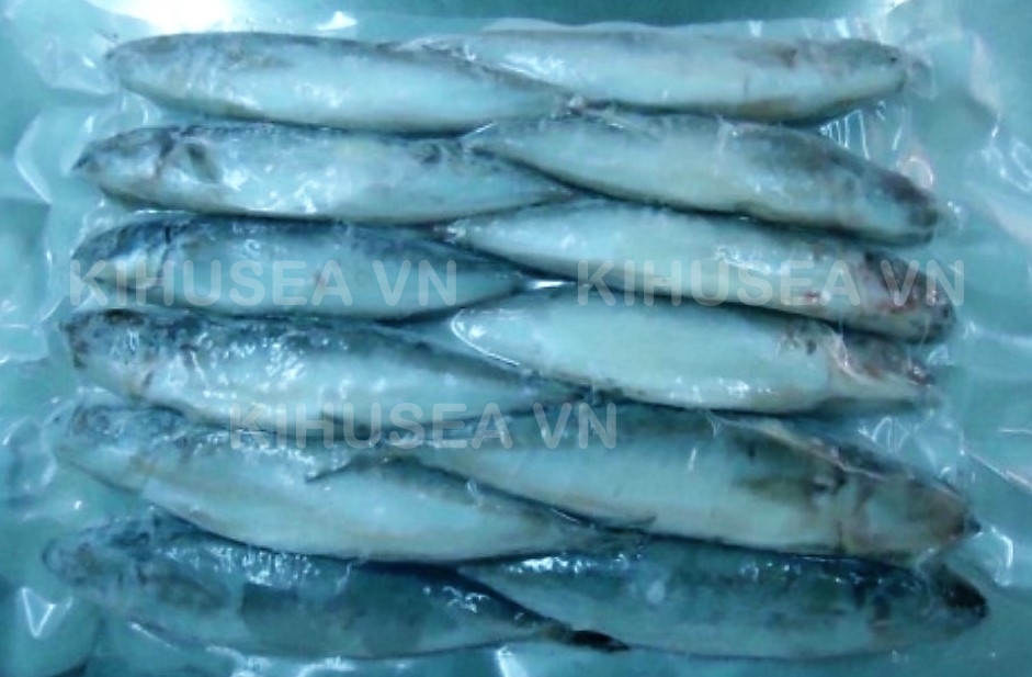 FROZEN  WHOLE CLEANED ROUND SCAD